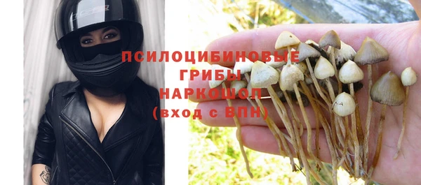 эйфоретик Арсеньев
