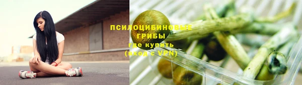 эйфоретик Арсеньев