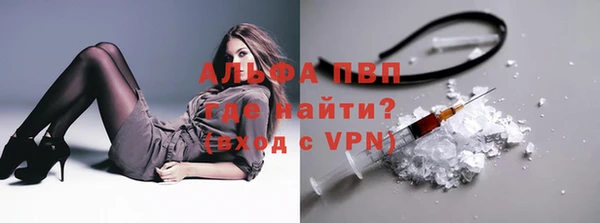 PSILOCYBIN Армянск