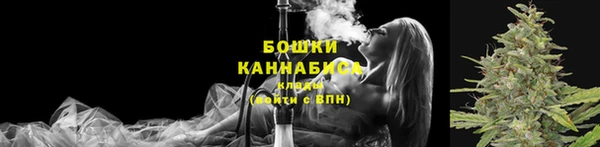 PSILOCYBIN Армянск