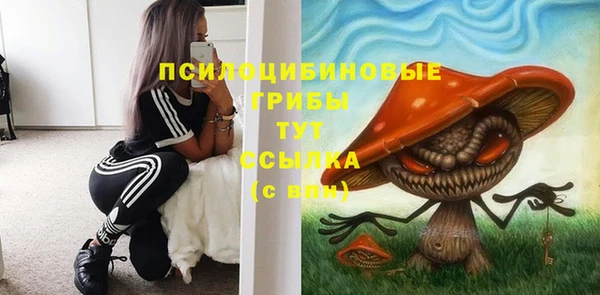 гидропоника Аркадак