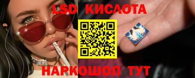 винт Кимры