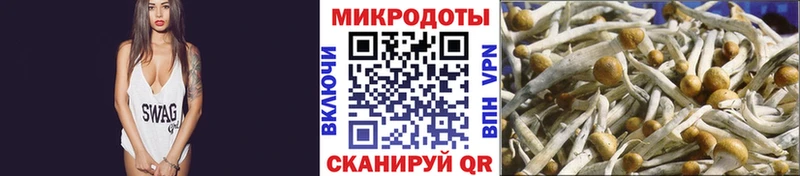 Псилоцибиновые грибы прущие грибы  Нововоронеж 