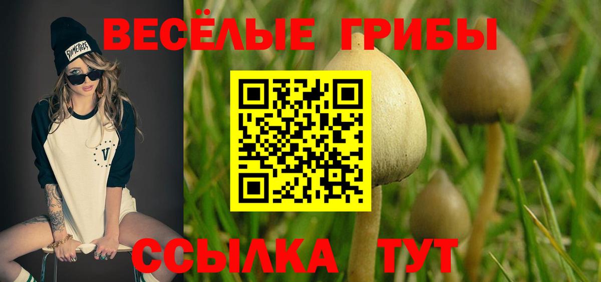 Нововоронеж  купить наркотик  Вход с VPN  Псилоцибиновые грибы прущие грибы 