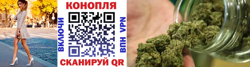 как найти закладки  Нововоронеж  Канабис SATIVA & INDICA 