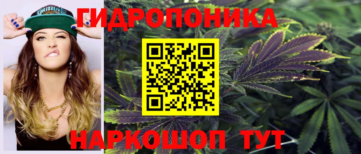 Бошки Шишки план Нововоронеж